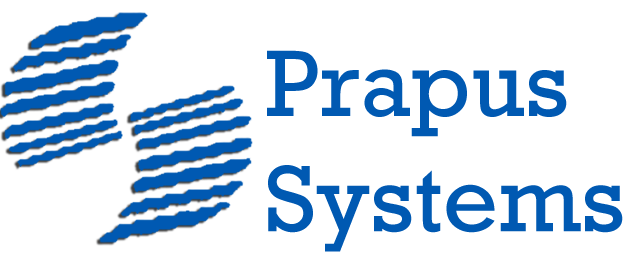 Prapus Systems Pvt. Ltd.